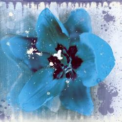 Tulip Fresco (blue) | Obraz na stenu