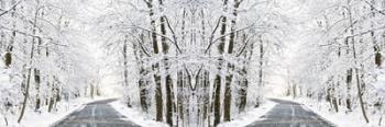 Two Roads Diverged in a Snowy Wood | Obraz na stenu