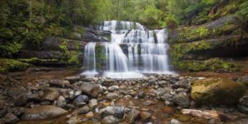 Liffey Falls | Obraz na stenu