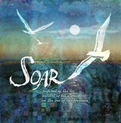 Soar | Obraz na stenu