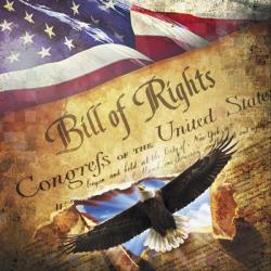Bill of Rights Eagle Bursting Out | Obraz na stenu