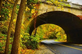 Tunnel of Fall | Obraz na stenu