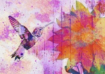 Hummingbird XVII | Obraz na stenu