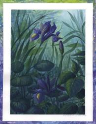 Water Iris | Obraz na stenu