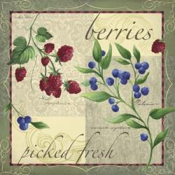 Berry Patch | Obraz na stenu