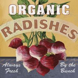 Radishes | Obraz na stenu