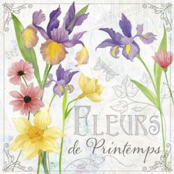 Fleurs III | Obraz na stenu
