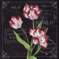 Tulips | Obraz na stenu