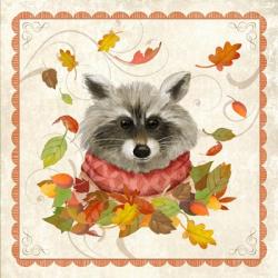Fall Raccoon | Obraz na stenu