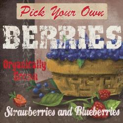 Berries | Obraz na stenu