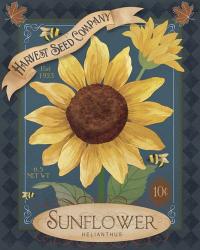 Sunflower Seeds | Obraz na stenu