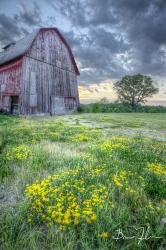 Pennsylvania Barn | Obraz na stenu