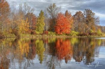 Colors On The Lake | Obraz na stenu