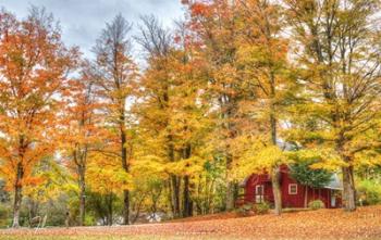 Autumn Cottage | Obraz na stenu