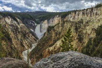 Lower Falls YNP Grand Canyon | Obraz na stenu