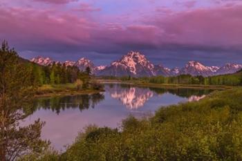 Magenta Sunrise  Oxbow Bend | Obraz na stenu