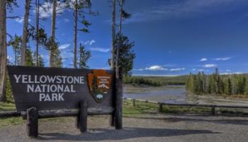 Yellowstone National Park Sign | Obraz na stenu