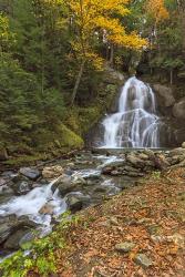 Moss Glen Falls in VT | Obraz na stenu