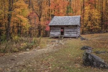 Alex Cole Cabin | Obraz na stenu