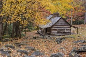 Bud Ogle Cabin | Obraz na stenu