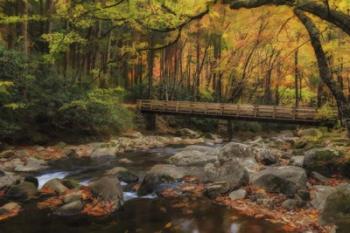 Greenbrier Bridge With Stream Watercolor | Obraz na stenu