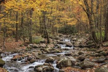 Greenbrier Cascade | Obraz na stenu