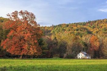 Little House In The Fall | Obraz na stenu