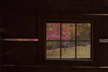 Roaring Fork Cabin Window | Obraz na stenu
