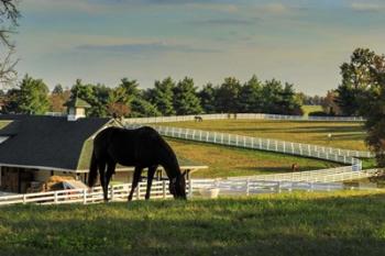 Sunset On The Farm | Obraz na stenu