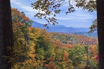 Window To The Smoky Mountains | Obraz na stenu