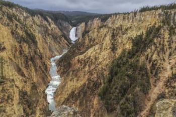 Yellowstone Grand Canyon - Lower Falls | Obraz na stenu