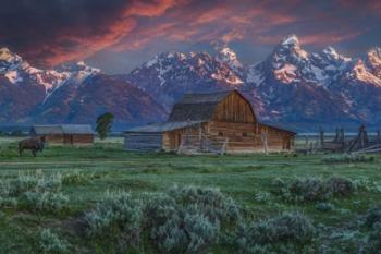 Grand Teton Mormon Barn At Sunrise | Obraz na stenu