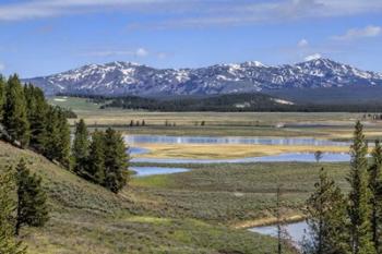 Hayden Valley (YNP) | Obraz na stenu