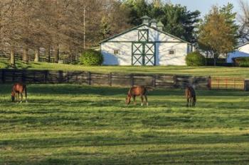 Horse Farm Landscape | Obraz na stenu