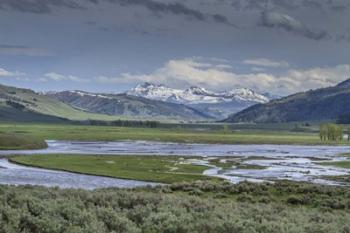 Lamar Valley (YNP) | Obraz na stenu