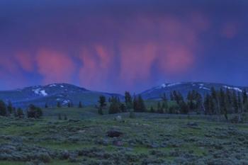 YNP Sunset | Obraz na stenu