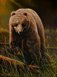 Brown Bear | Obraz na stenu