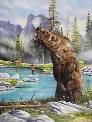 Grizzly | Obraz na stenu