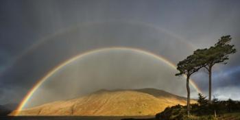 Double Rainbow | Obraz na stenu