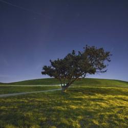 The Night Cyclist | Obraz na stenu