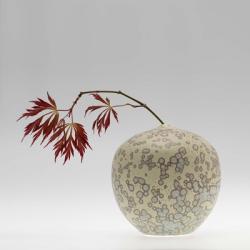 New Chinese Maple | Obraz na stenu