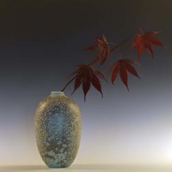 Still Life with Japanese Maple and Raindrops | Obraz na stenu