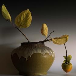 Still Life with Persimmon | Obraz na stenu