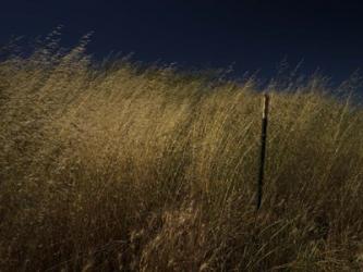 Panhandle | Obraz na stenu