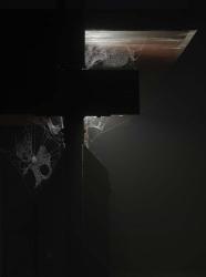 Theremin Fog | Obraz na stenu