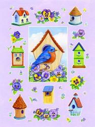 Bluebird And Pansies | Obraz na stenu