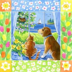 Spring Cat And Dog | Obraz na stenu