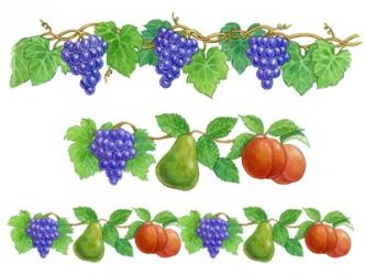 Grapes and Fruit borders | Obraz na stenu