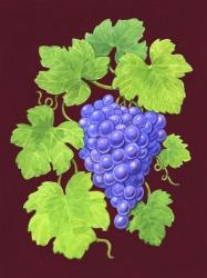 Grapes Burgundy | Obraz na stenu