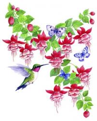 Hummingbird Hibiscus | Obraz na stenu